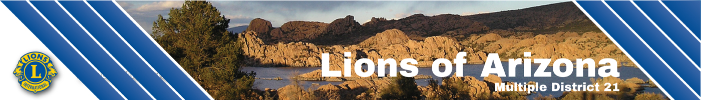 lionsarizona.org